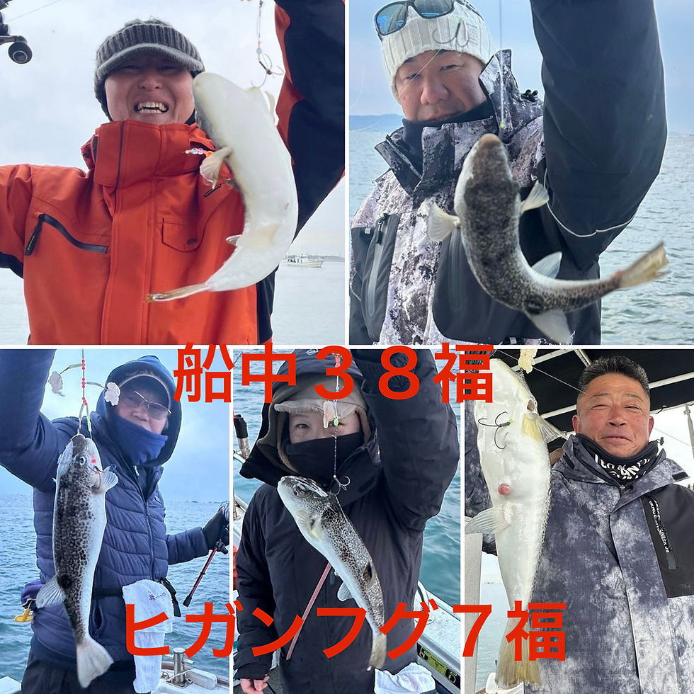 【ショウサイフグ】3名様乗船・船中38・リリース1福・ヒガン7福・竿頭15福・最大39cm