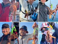 【タコ】船中34杯・7杯・竿頭8杯2名・次7杯