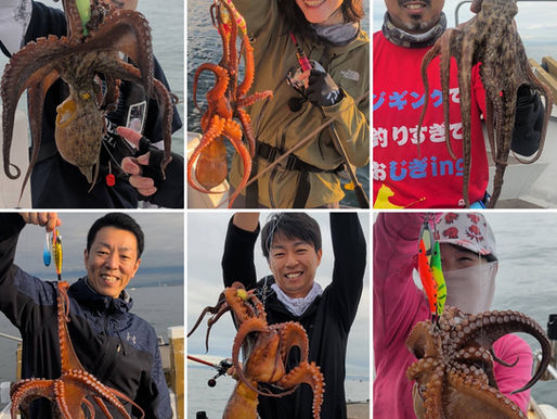 【タコ便】kg🐙４杯・全員ツ抜け安打・お客様５名・竿頭１６杯・全体リリース７杯