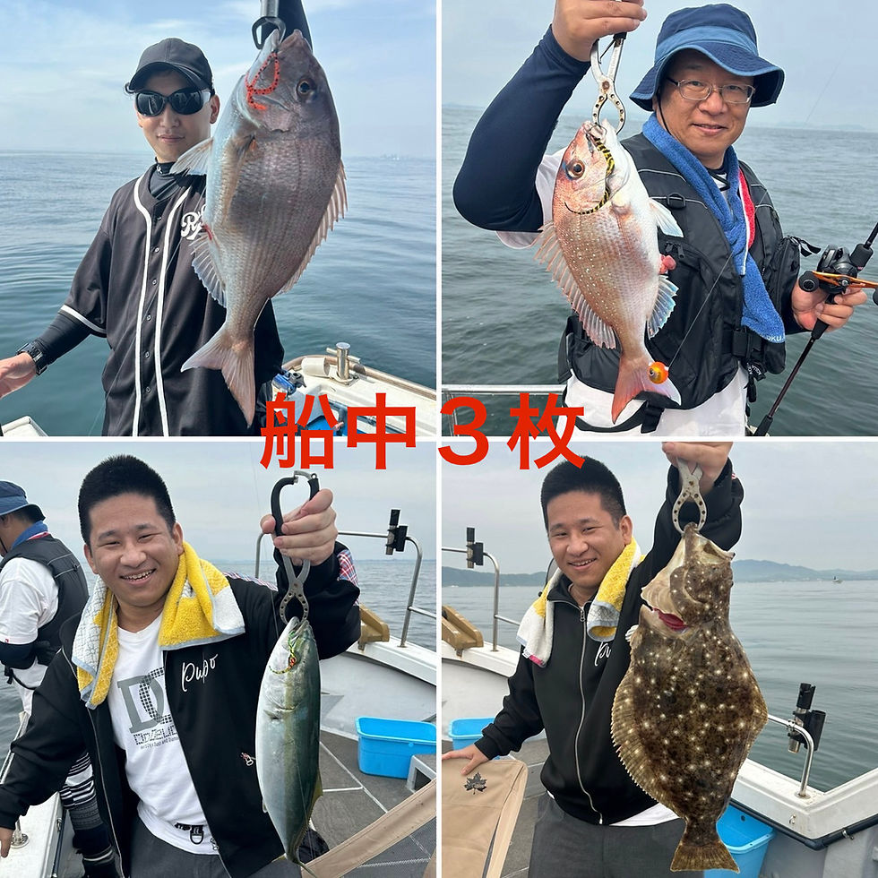 【午後タイラバ】5名様乗船・船中3枚・ゲスト(ハマチ・ヒラメ)・竿頭2枚