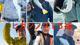 【ショウサイフグ】9名様乗船・船中27福・ゲスト(ヒガンフグ)竿頭5福・ヒガン1福・次ヒガン5福・最大37cm