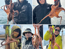 【タコ】今日イチ900g・船中6杯・竿頭2枚