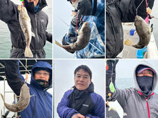 ショウサイフグ】船中23福・リリース1福・竿頭5福