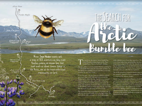 University of California, Riverside Alumni Magazine Feature Article Design