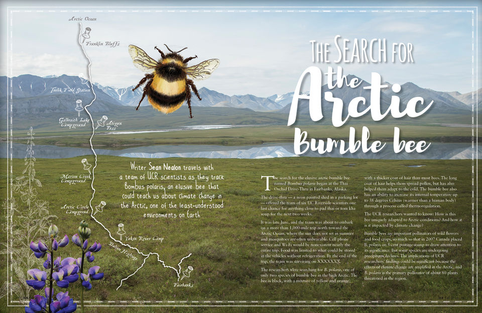 University of California, Riverside Alumni Magazine Feature Article Design