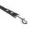 Thumbnail: Leash