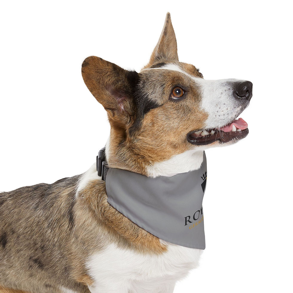 Thumbnail: Pet Bandana Collar