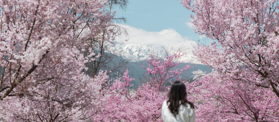 春の長野を満喫する、自然とやすらぎに出会う旅へ