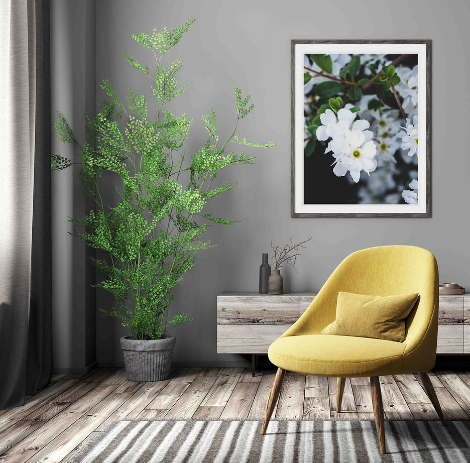 Modern living room with a framed flower photo chosen to match the decor of a yellow chair, green plant and wooden sideboard on a striped rug | Buy fine art nature photography prints and wall art from Tangle and Bloom UK.