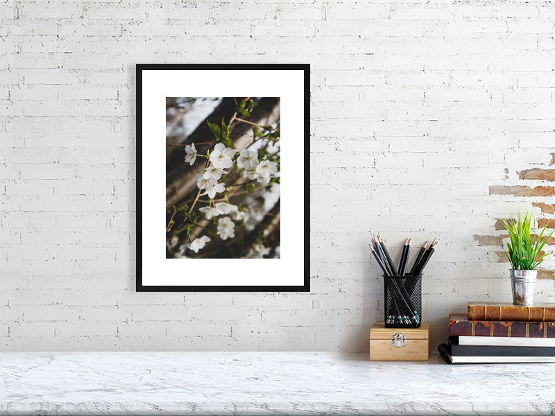 Thumbnail: White Blossom 001