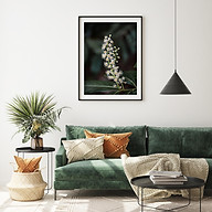 Step 3 place your order