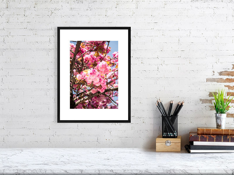 Thumbnail: Pom Pom Blossom 003