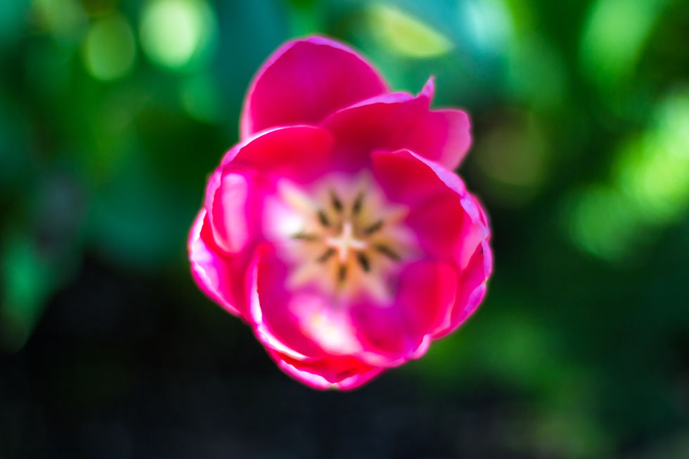 SOFT AND UNFOCUSED