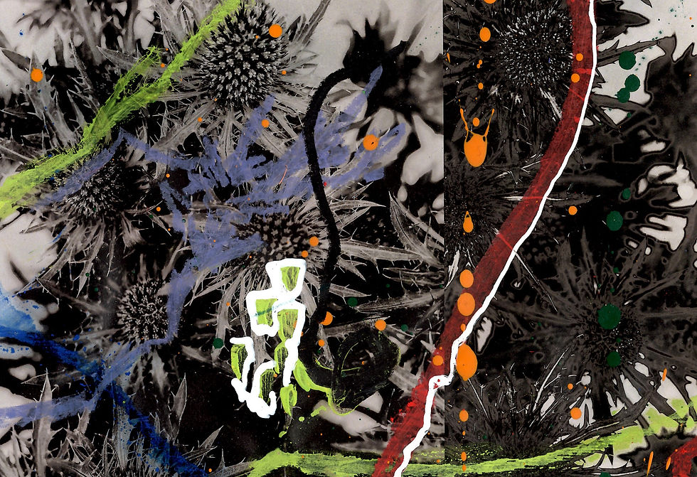 Thumbnail: Julie Taylor