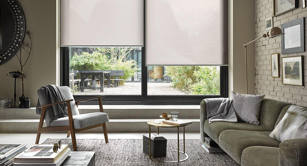 roller shades.jpeg