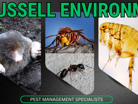 Agricultural Pest Control