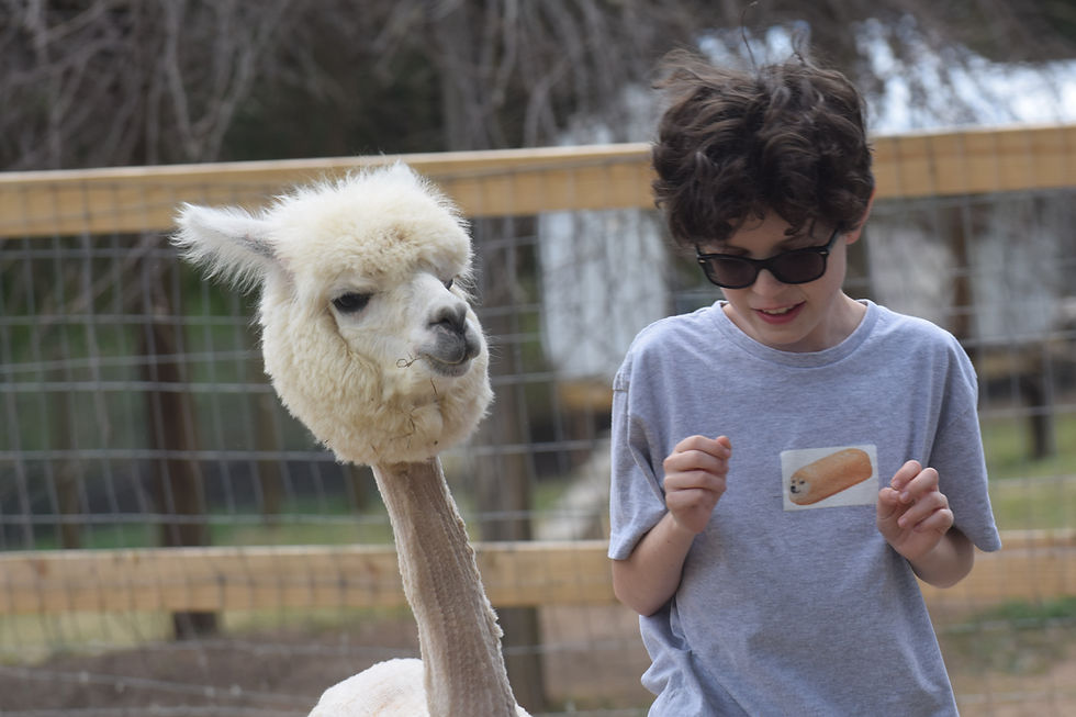 Live Music, Farm Fun & The Meeting House Opens!