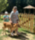 Bottle Calf Walk.jpg