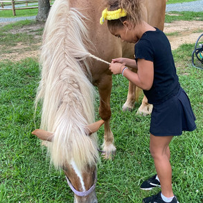Braiding Violet's Hair