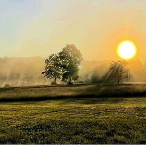 sunrise.jpeg