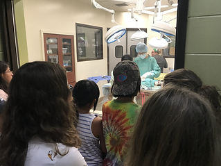 Vet Camp, Veterinary Camp, Veterinary school, Farm Camp, Becoming a Veterinarian