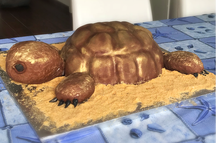 Tortue géante