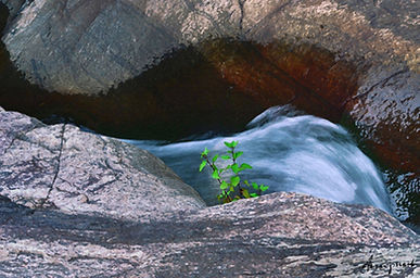 Anuj Nair poem - The Flow