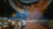 AdobeStock_142267811.jpeg