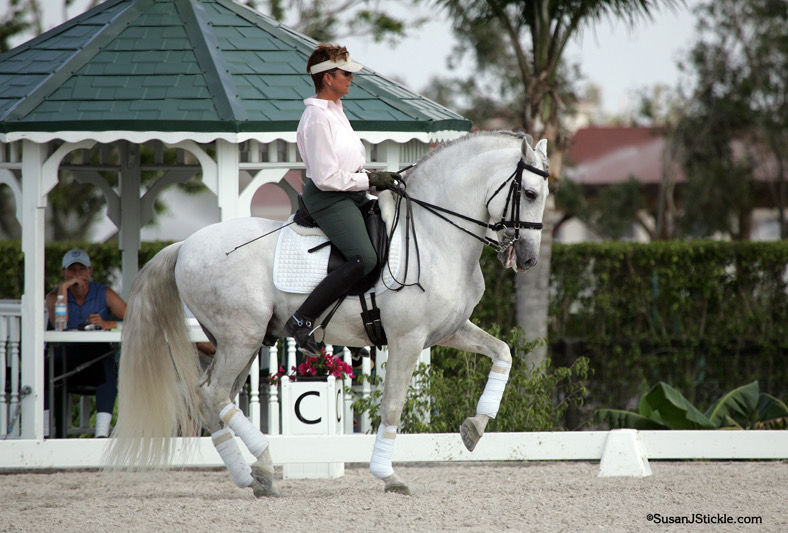 Cosaco, Hampton Green Farm