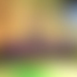 ハンドファーストを可能にするシンプルドリル