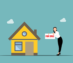 mohamed_hassan-house-6650186_1920.png