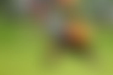 Ultimate Marmolejo comienza su andadura