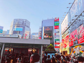 20190525_172150-2.jpg