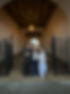 IMG_1987.jpeg