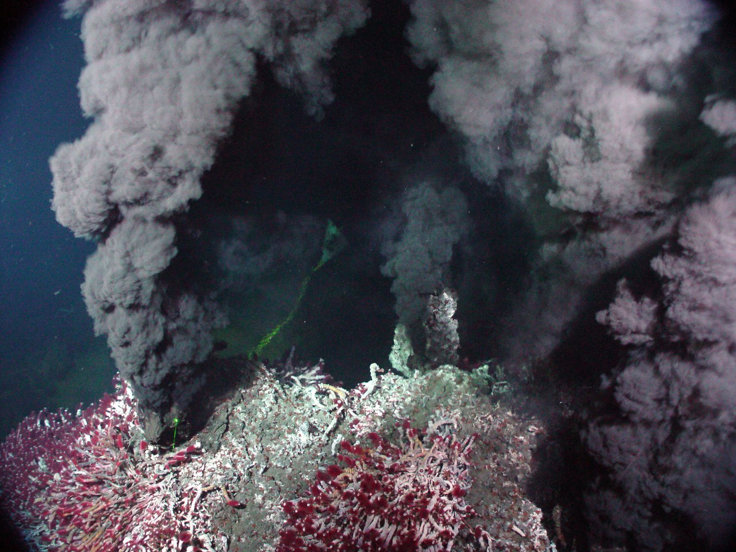 an analysis of the ecosystems in hydrothermal vents an analysis of the ecosystems in hydrothermal vents