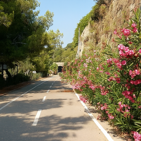 La piste cyclable et promenade piétonne côtière, s’étend de San Lorenzo al Mare à Ospedaletti et compte parmi les plus longues du bassin méditerranéen. Le parcours, principalement plat, longe essentiellement la mer, offrant des panoramas fantastiques.
En chemin, de nombreuses plages magnifiques vous invitent à faire une pause et à vous rafraîchir dans l’eau. Mais les petits villages côtiers que vous traversez en chemin valent également le détour pour y faire une pause ou déguster une délicieuse glace italienne par exemple.