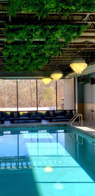 THE healing waters pool