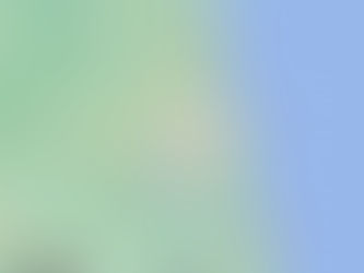 FLASH ALERT: SHOOTING IN JACKSONVILLE AND THE RISK TO MINORITY COMMUNITIES