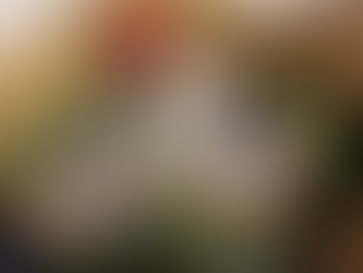 The Inward-Looking Garden