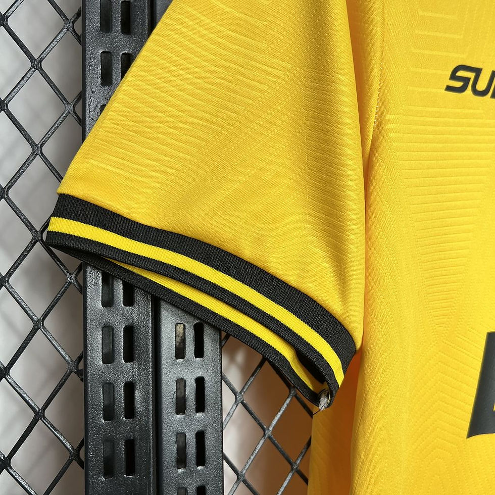 Miniatura: Wolves Principal 24/25