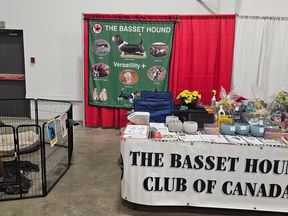 Meet the Breeds Wrap-Up