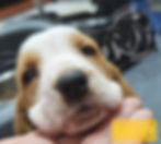 540745950_747956214706753_2007880934451121691_n