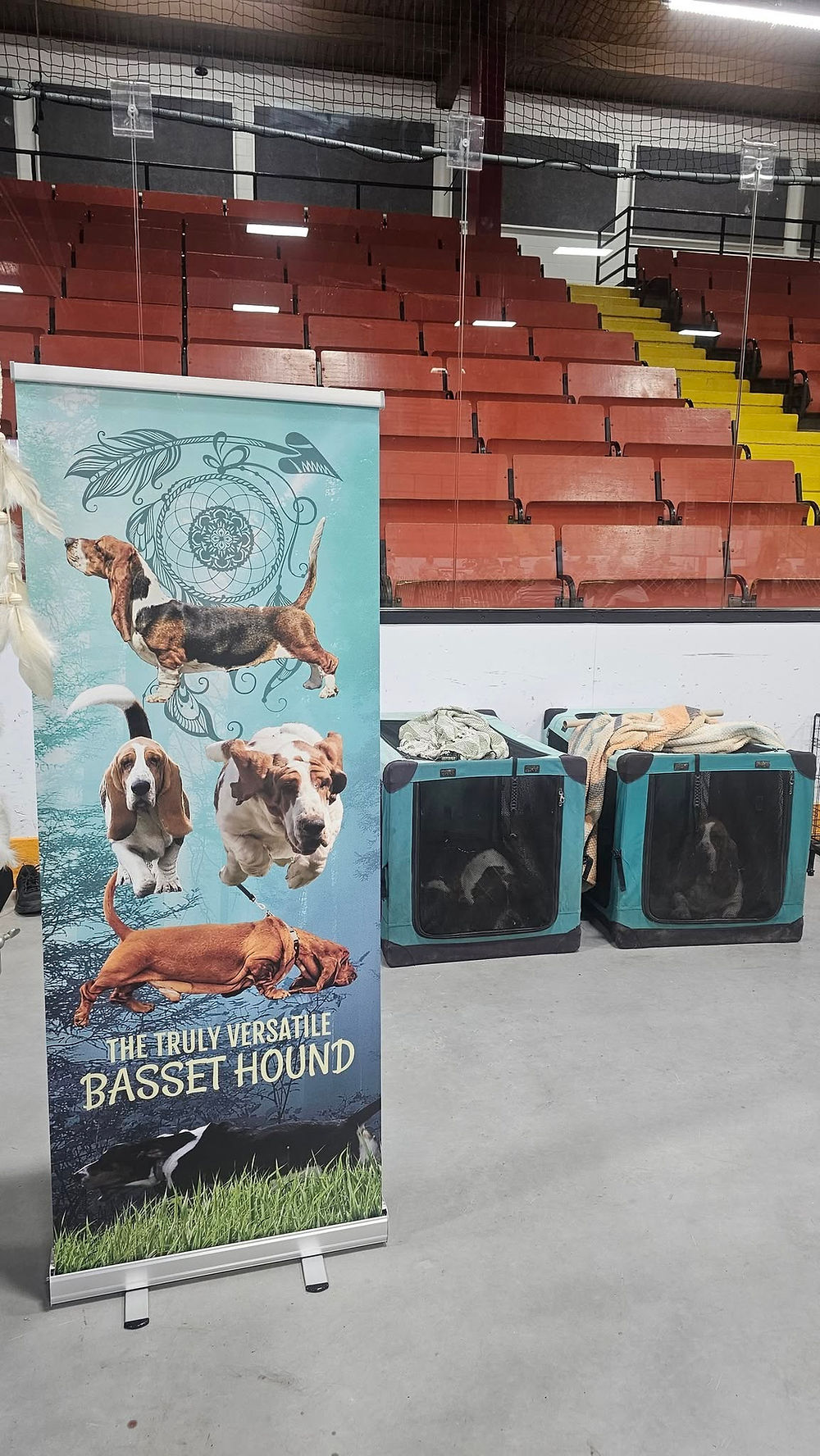 basset hound sign and crates