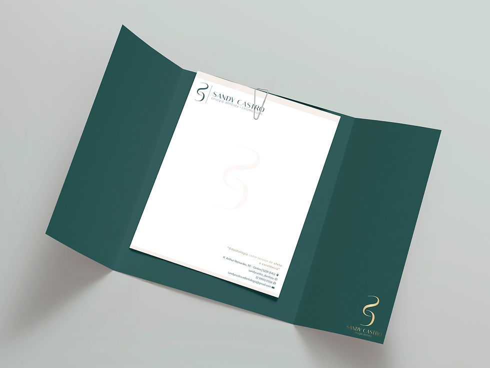 Sandy Castro _ Identidade Visual