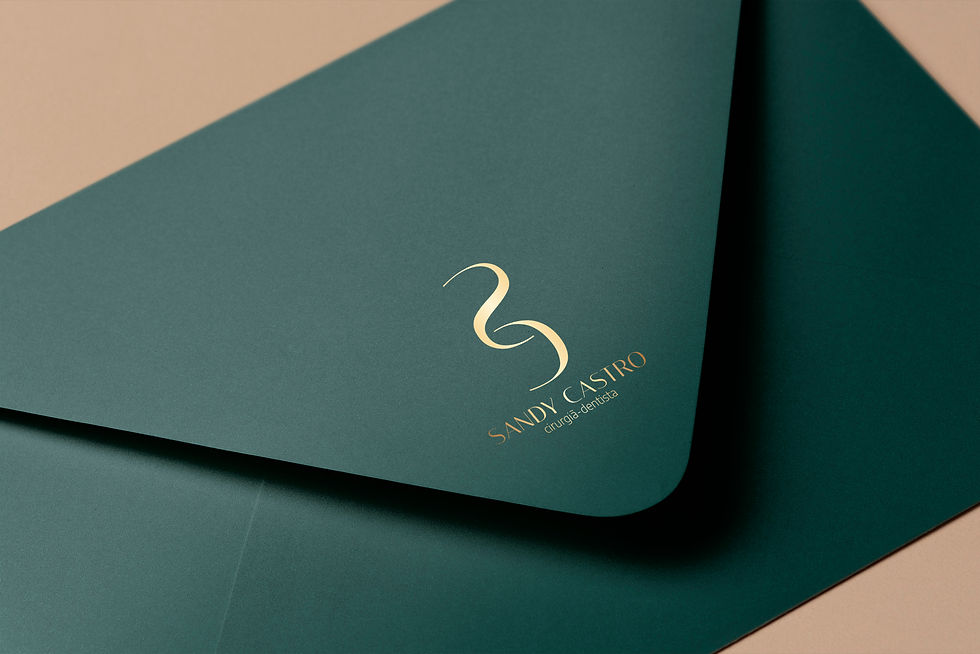 Sandy Castro _ Identidade Visual