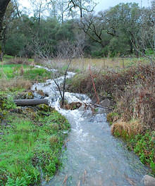 natural building workshop