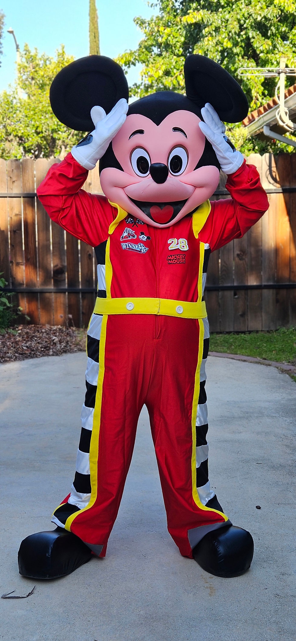 Miniatura: mickey minnie mouse mascot rent racers