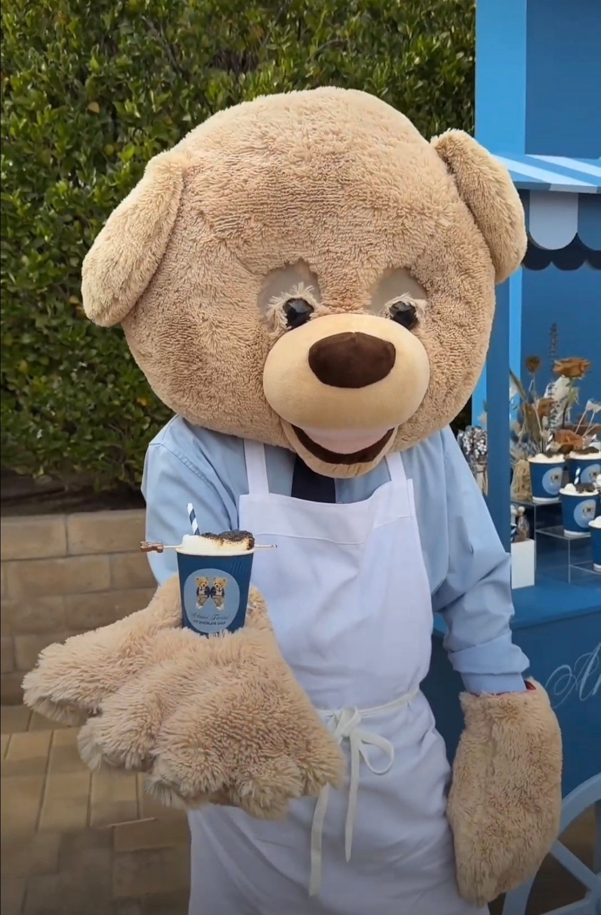 Rental Teddy Bear Mascot Head, Paws & Shoe Covers for Events