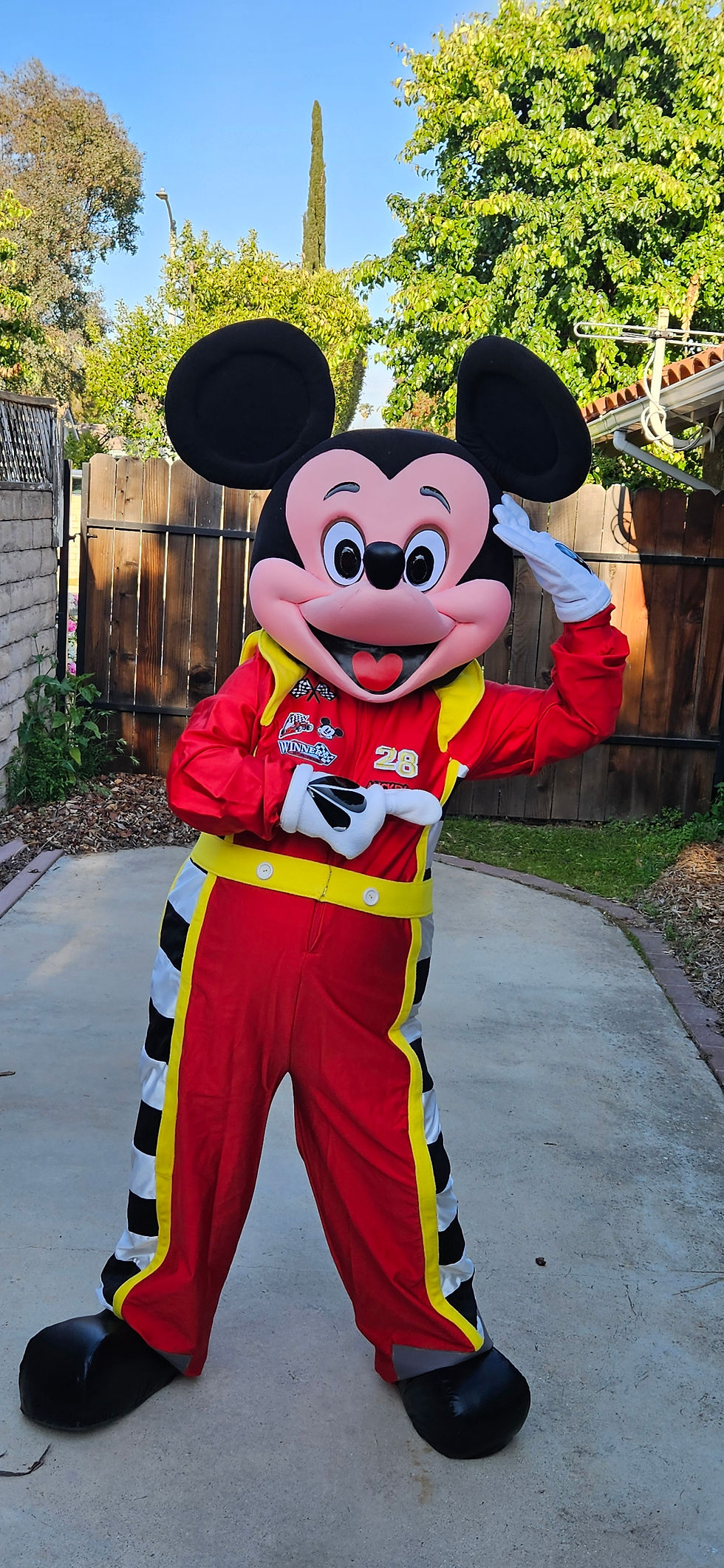 Miniatura: mickey minnie mouse mascot rent racers