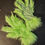 Miniature : RENT Grinch in Santa Outfit. Christmas costume. Halloween. Cosplay.